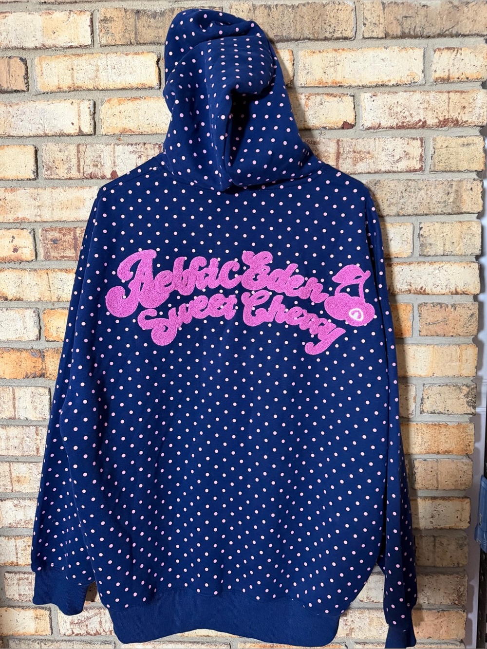 Aelfric Eden blue pink polka dot cherry hoodie M